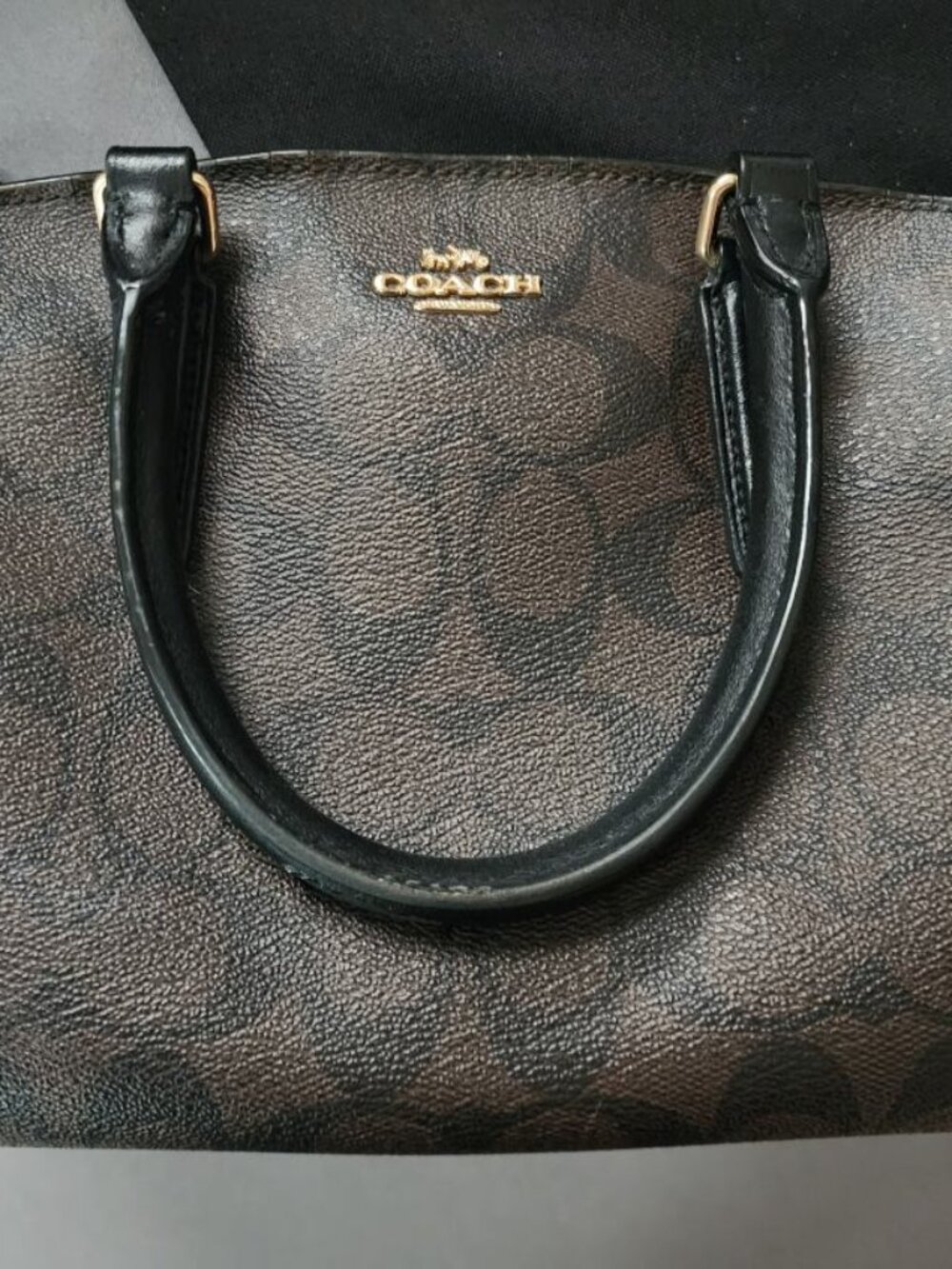 Coach Lillie Carryall Women's Leather Mini Handbag - Brown/Black